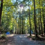 Low Gap Campground