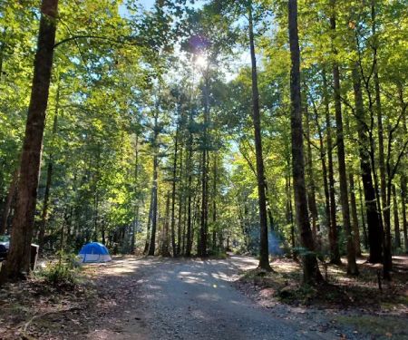 Low Gap Campground
