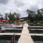 Css campground