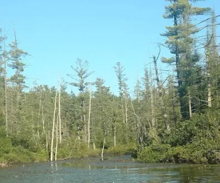 Spring Lake State Forest Campground