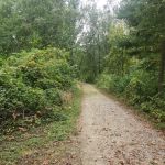 Camping Site 2