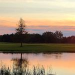 Farm View Resort