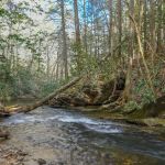 Wildcat Campground