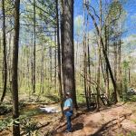 Jones Creek Campground