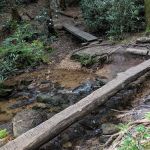 Stover Creek Shelter