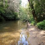 Mulky Campground