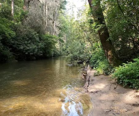Mulky Campground