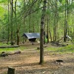 Backcountry Camp 77, Pilkey Creek