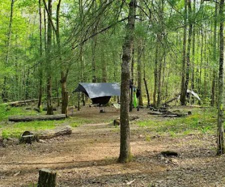 Backcountry Camp 77, Pilkey Creek