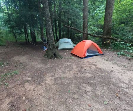 Backcountry Campsite #75