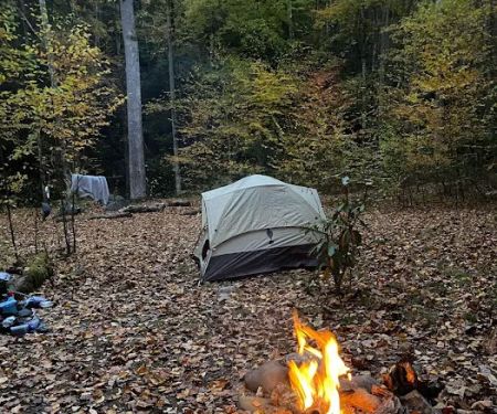 Backcountry Campsite #70