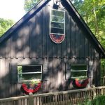Black Bird Cabin