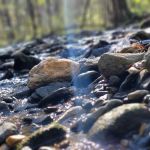 W Wolf Creek Campground