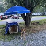 Ten Mile Campground