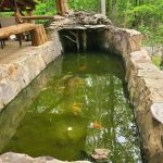 Cherokee Point Campground