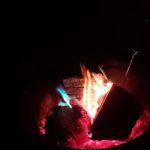 Little Wolf Lake State Campground