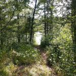 Horseshoe Lake Campground