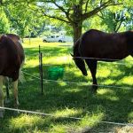 Equestrian Campground