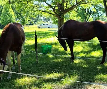 Equestrian Campground