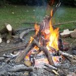 Davis Creek Campground