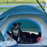 Pine grove campground