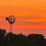 Circle L Campsites & Stables
