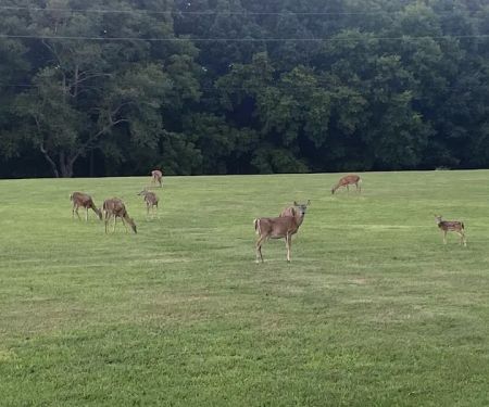 Boxwell Reservation