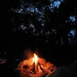 Creekside Bliss