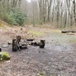 Backcountry Campsite #28
