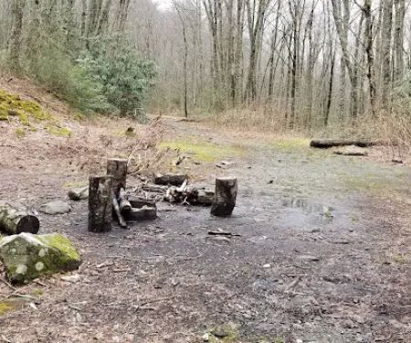 Backcountry Campsite #28