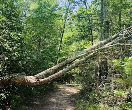 Chilhowee Recreation Area