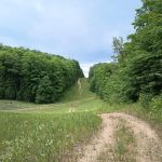 Smerczak Property
