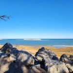 Illinois Beach State Park Campground