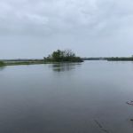 Manistee River RV Resort & Marina