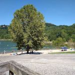 Floating Mill Park