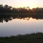 Robins FamCamp