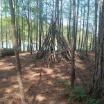 Red Top Mountain State Park Pioneer Campground