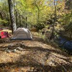 Whispering Pines