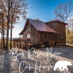 Big Papa Bear Cub House