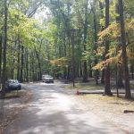 Group Camp