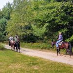 Garey Lake State Forest Campground
