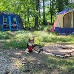 KAYAK STARVED ROCK CAMPGROUND