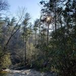 Hickey Gap Campground