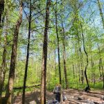 Sawmill Campsite