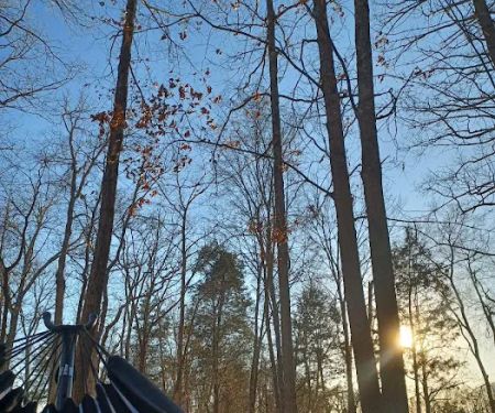 Dixieland Campground