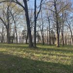Steamboat Hill Campground