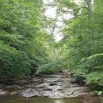 Montgomery Bell Campground