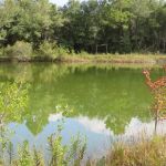 Twin Ponds RV Park and Campground