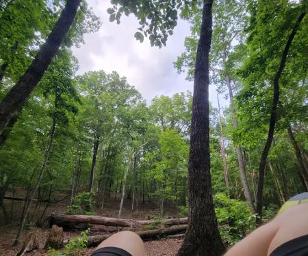 Turtle Hollow Campsite