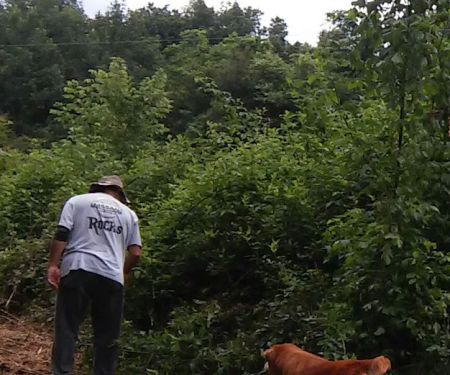 Cane Creek RV Park